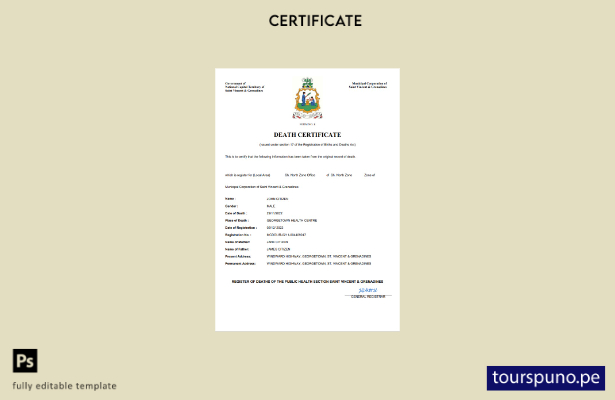 listo para imprimir certificado de desaparición del registro civil de San Vicent